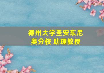 德州大学圣安东尼奥分校 助理教授